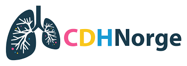 logo for CDH Norge (Norway)